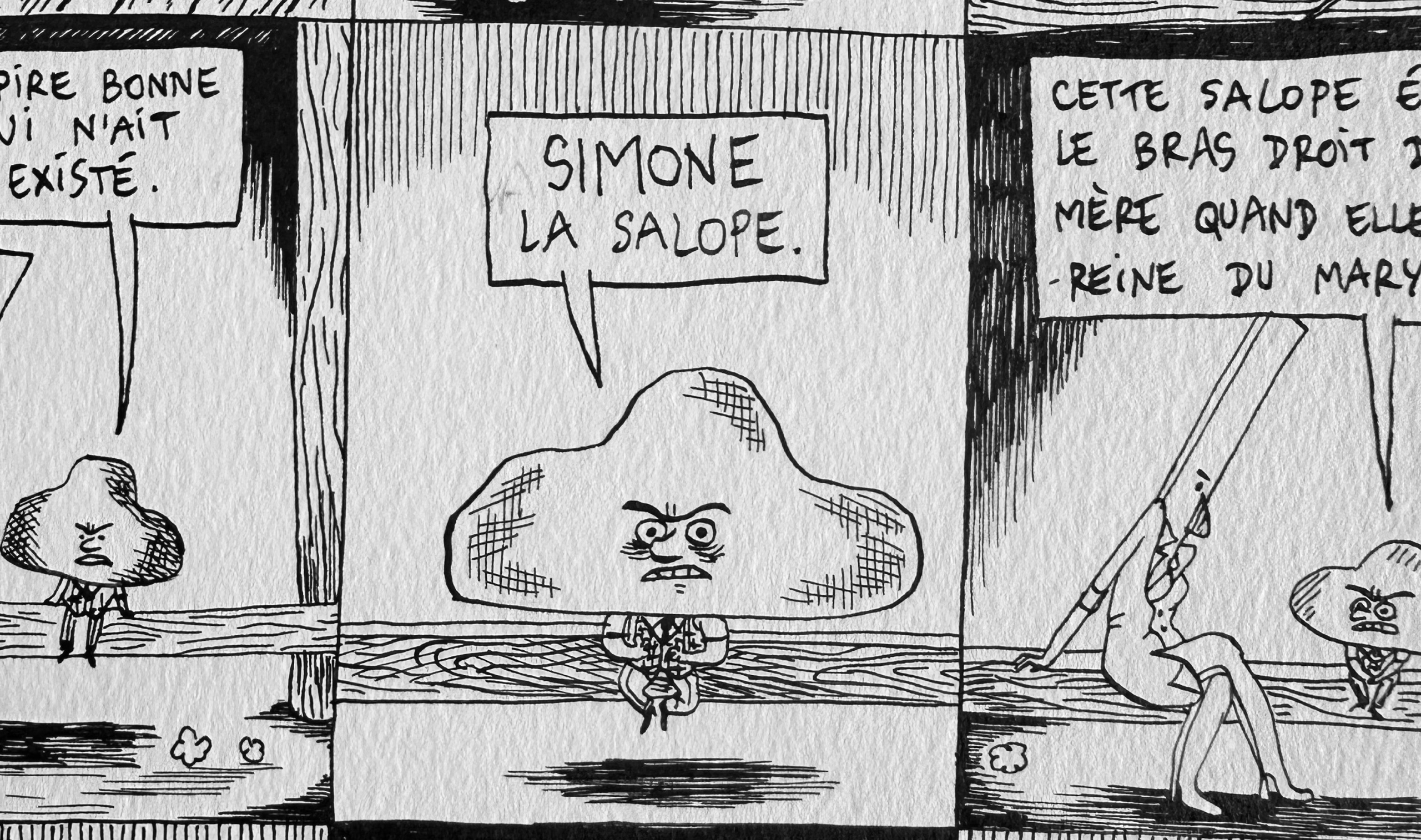 Anne Simon - Boris, l'enfant patate