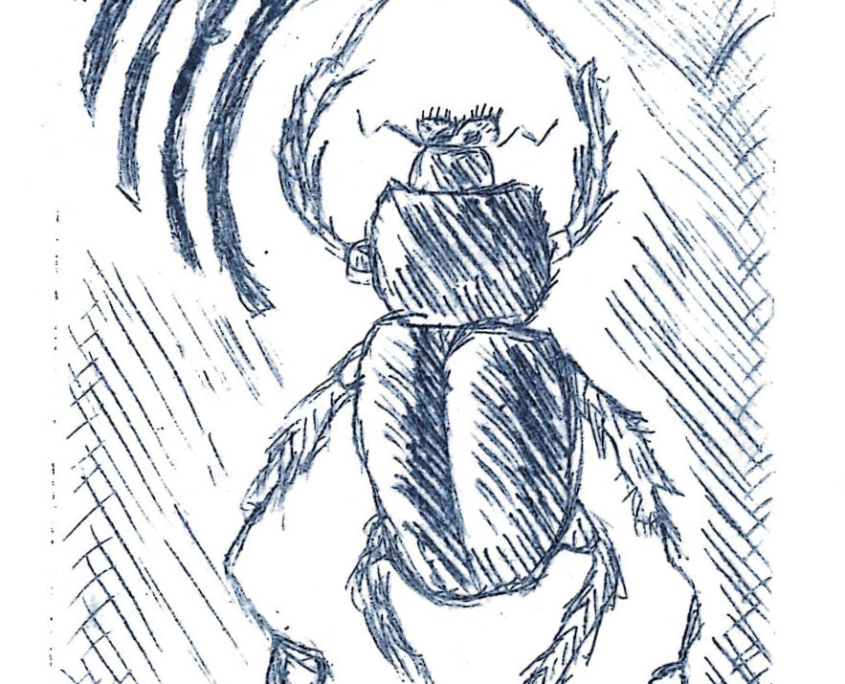 Les belles gravures du SoBD 2021