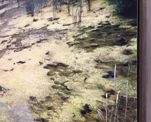 Trans galerie #9 - So Ecolo ! So Duo - Jerome Combe Trans galerie #9 - So Ecolo ! So Duo - Jerome Combe