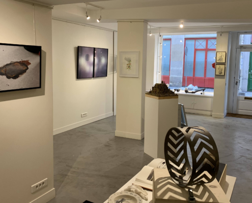 Trans galerie #8 - So Ecolo ! - Vue de la galerie Trans galerie #8 - So Ecolo ! - Vue de la galerie