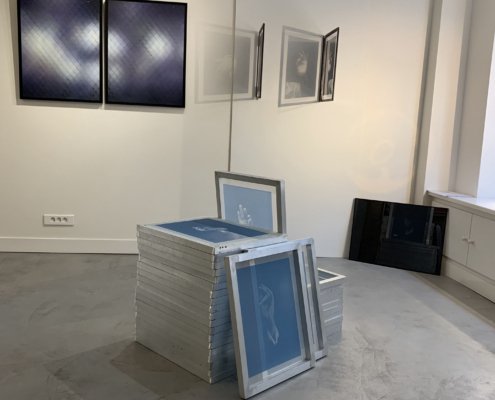 Trans galerie #8 - So Ecolo ! - Vue de la galerie Trans galerie #8 - So Ecolo ! - Vue de la galerie