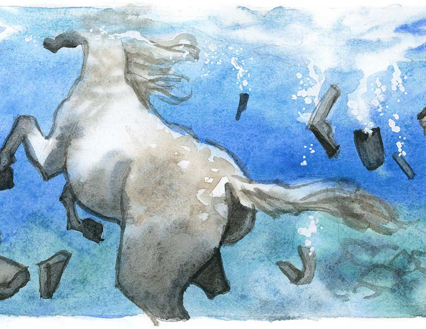 Guillaume Trouillard, Aquaviva