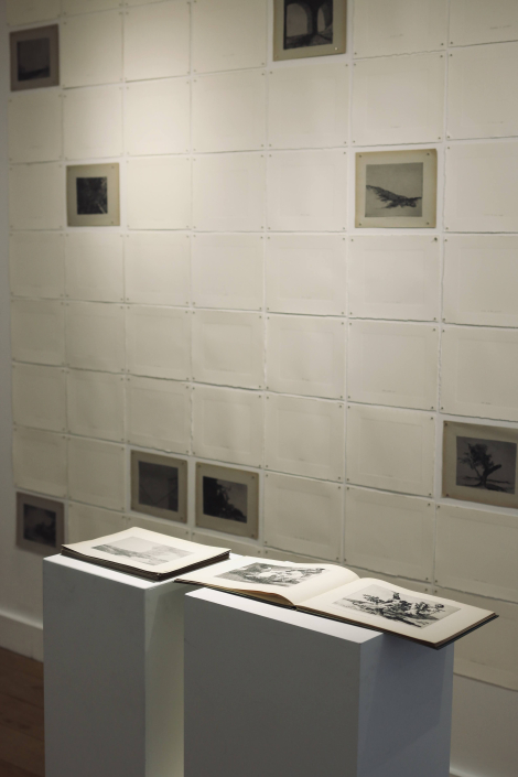 2024-01 16e Trans Galerie – So Sorry – Photos Hélène Langlois 05 2024-01 16e Trans Galerie - So Sorry - Photos Hélène Langlois 05