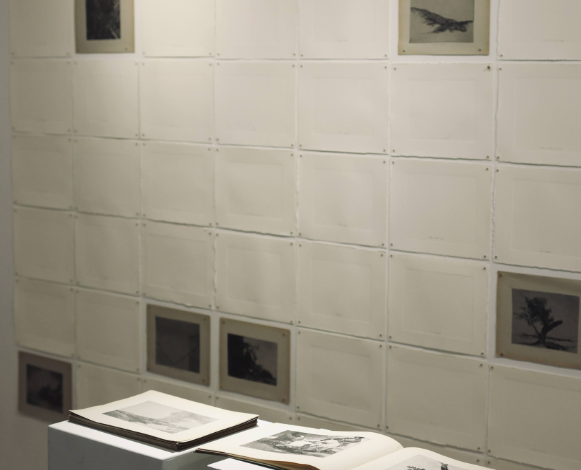 2024-01 16e Trans Galerie - So Sorry - Photos Hélène Langlois 05