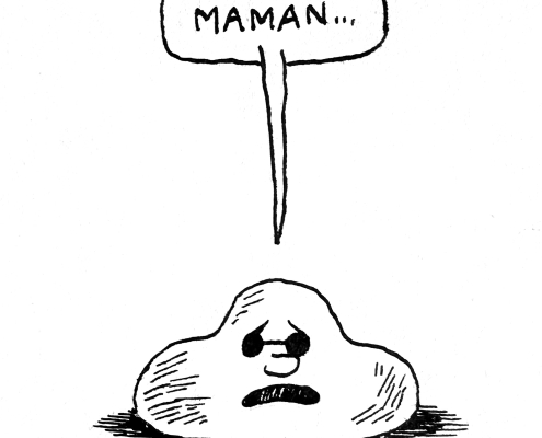 Anne Simon, Boris l'enfant patate (extrait)